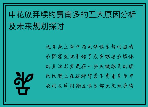 申花放弃续约费南多的五大原因分析及未来规划探讨